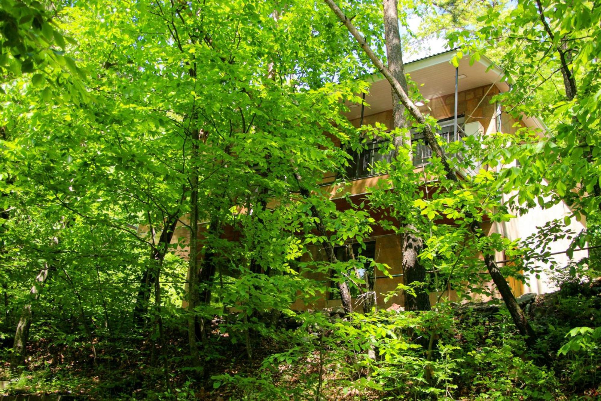 Opus 11 Dilijan